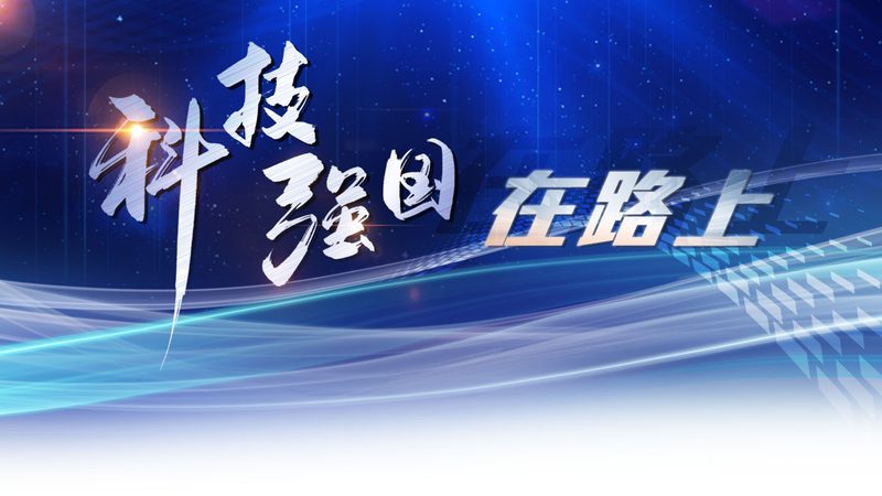 数据服务代理加盟：揭秘其背后的商业逻辑与选型要点