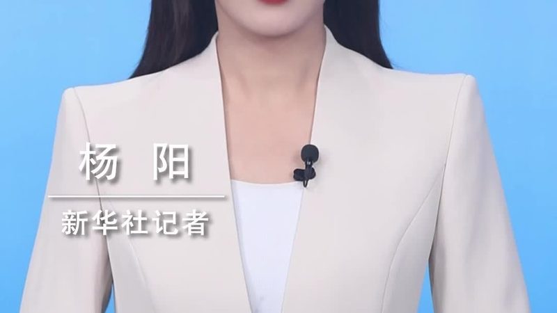 智慧园区建设：上海平台开发公司的关键角色**
